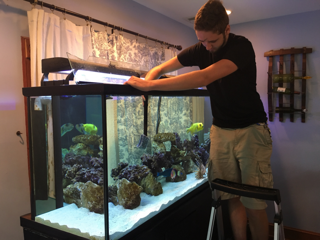 A man stands on a step stool, leaning over a large, brightly lit saltwater aquarium to perform maintenance. The aquarium contains live rock, white sand, and two yellow fish.
